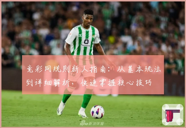 竞彩网规则新人指南:从基本玩法到详细解析,快速掌握核心技巧
