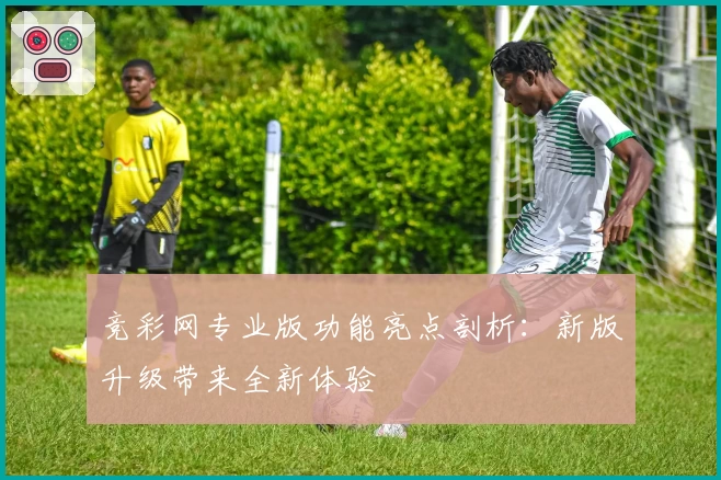竞彩网专业版功能亮点剖析：新版升级带来全新体验